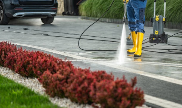 Best Roof Pressure Washing  in Carter Lake, IA