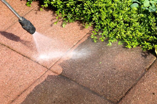 Best Best Pressure Washing Companies  in Carter Lake, IA